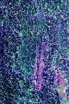 A 283B
